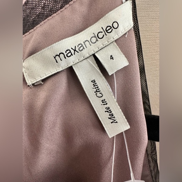 NWT, Max and Cleo Dress, Blush, Size 4 - Picture 8 of 10